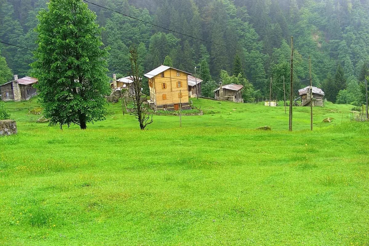 Ayder